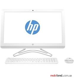 HP 24-e050ur 2BW43EA