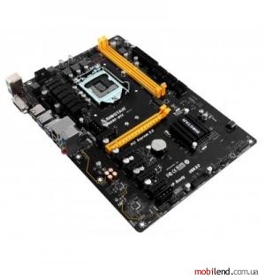 Biostar TB250-BTC