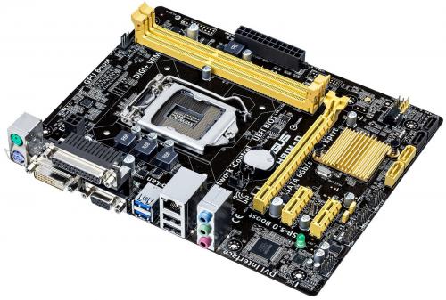 ASUS H81M-D