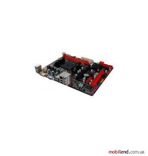 Biostar A58M Ver 6.1
