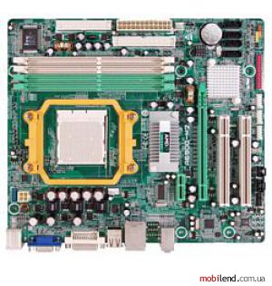 Biostar A690G-M2