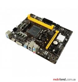 Biostar B450MH