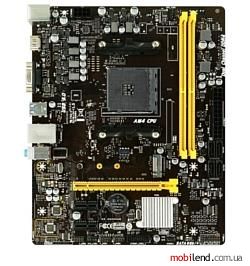 Biostar B450MH Ver. 6.x