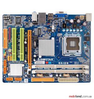 Biostar G41D3 Ver 6.x