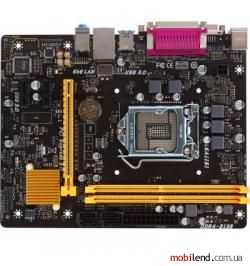 Biostar H110MDS2 PRO D4
