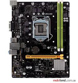 Biostar H110MGC