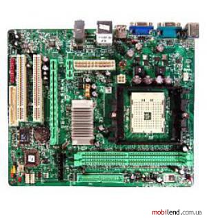 Biostar NF61S Micro 754