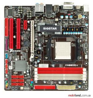 Biostar TA880G Ver 5.x
