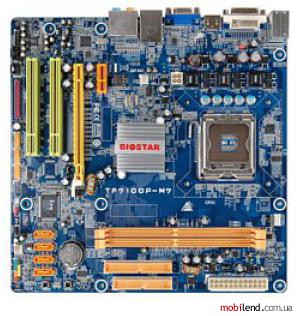 Biostar TF7100P-M7