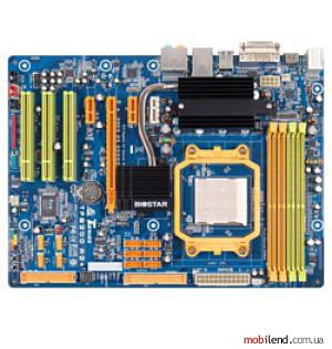 Biostar TF8200 A2 Ver 5.x