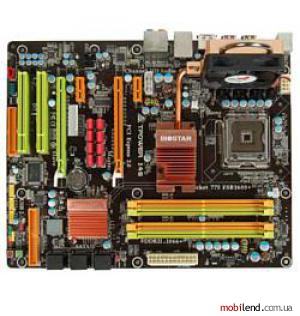 Biostar TPower I45 Ver 5.x