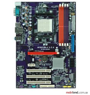 ECS NFORCE6M-A (V5.0)
