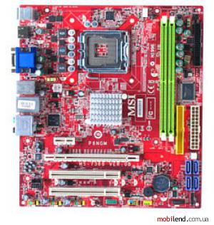 MSI P6NGM-FIH