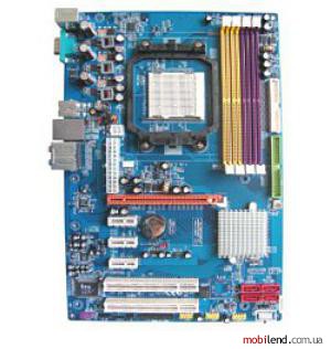 Palit N520A