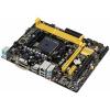 ASUS A58M-E
