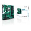 ASUS PRIME B365M-C