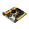 Biostar A10N-8800E