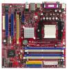 Biostar GeForce 6100-M9