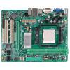 Biostar GF7025-M2 TE