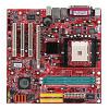 MSI RS482M-IL