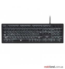 2E Ares KG 110 USB Black (2E-KG110UB)