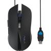 Acme Aula Obsidian (6948391212302)