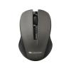 Canyon CNE-CMSW1G Gray
