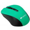 Canyon CNE-CMSW1GR Green