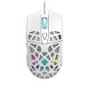 Canyon Puncher GM-20 White (CND-SGM20W)