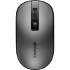 Canyon Wireless Dark Grey (CNS-CMSW18DG)