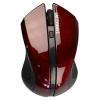 Greenwave Fiumicino (Black-cherry)