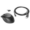 HP Wireless Premium Mouse Black (1JR31AA)
