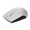 Lenovo 520 Wireless Mouse Platinum (GY50T83716)