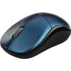 RAPOO Wireless Optical Mouse 1190