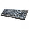 Trust Lito Backlit USB Black (22042)