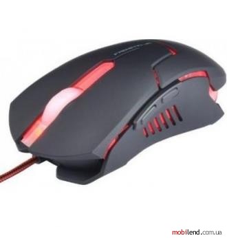 TeamScorpion Frenetic.Jr