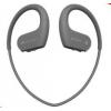 Sony NW-WS623 Black (NWWS623B.EE)