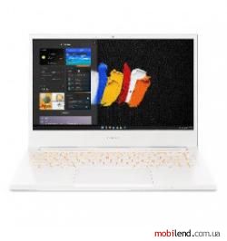 Acer ConceptD 3 CN314-72-53F0 (NX.C5SAA.001)