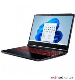 Acer Nitro 5 Shale Black (NH.QEKEC.002)