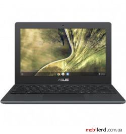 ASUS Chromebook C204MA Dark Grey (C204MA-GJ0512)