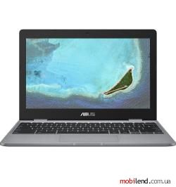 Asus Chromebook C223NA (C223NA-DH02)