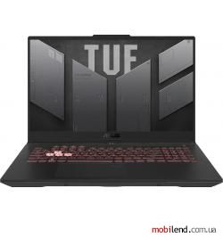 Asus TUF Gaming A17 FA707RM (FA707RM-ES73)