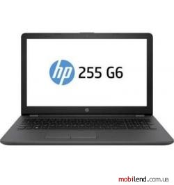 HP 255 G6 (2HH06ES) Silver