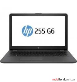 HP 255 G6 (2HH07ES) Silver