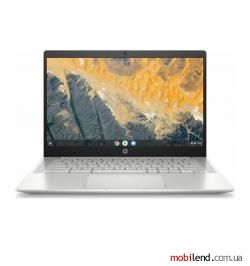 HP Pro c640 Chromebook (190G2UT)