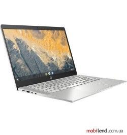 HP Pro c640 Chromebook (1W2Q6UT)