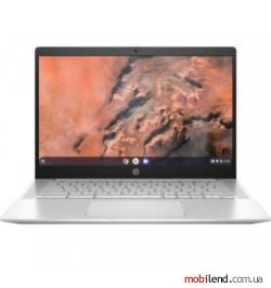 HP Pro c645 Chromebook Enterprise (2Z5T8UT)
