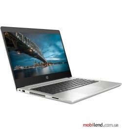 HP ProBook 430 G7 Silver (6YX14AV_V1)