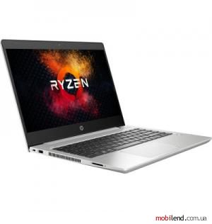HP ProBook 445 G6 Silver (5XH25AV_V1)