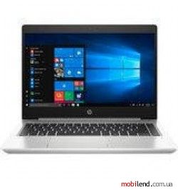 HP ProBook 445 G7 Silver (175V5EA)
